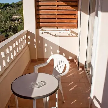 Fonda Palmeras Guest house